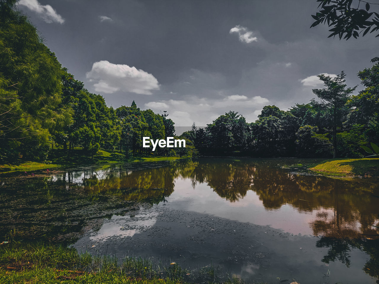 The lake is combined with the surrounding trees, resulting in an exotic and eye-cooling image