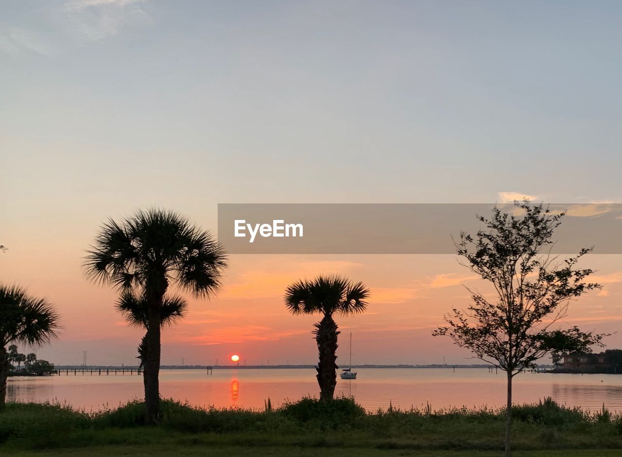 SILHOUETTE PALM TREES BY LAKE AGAINST SKY AT SUNSET