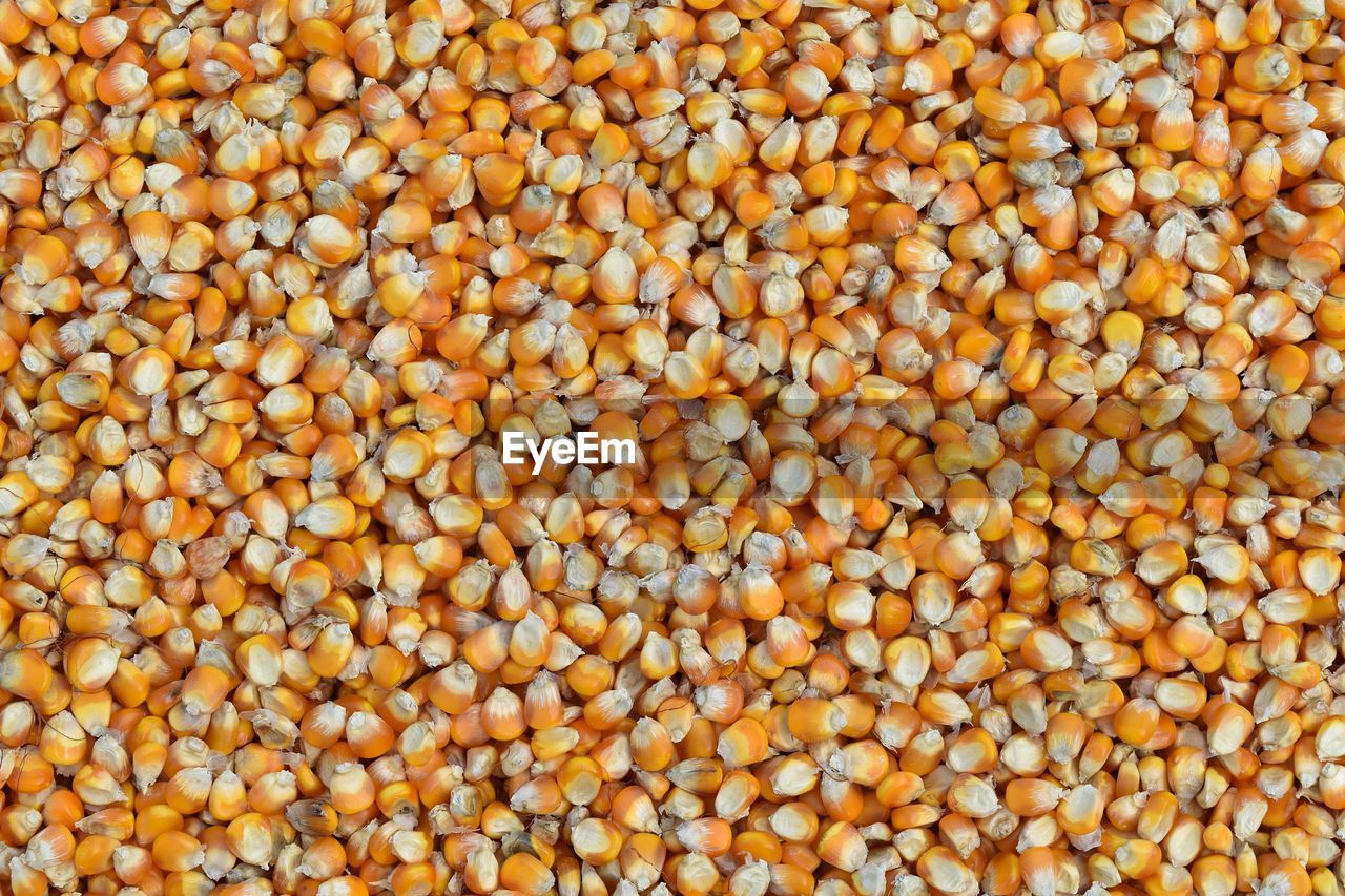 Full frame shot of corn kernels