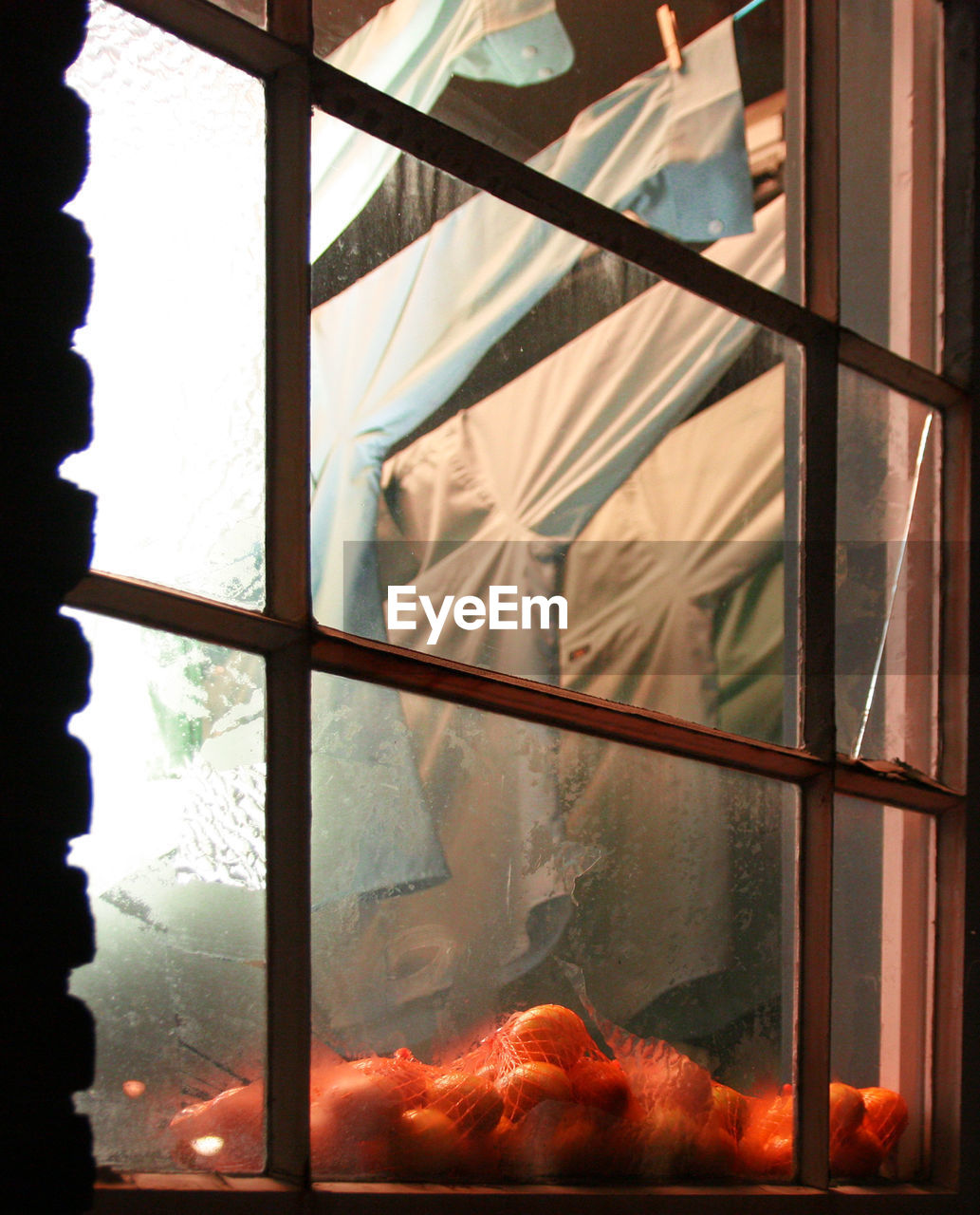 CLOSE-UP OF BIRDS AGAINST WINDOW