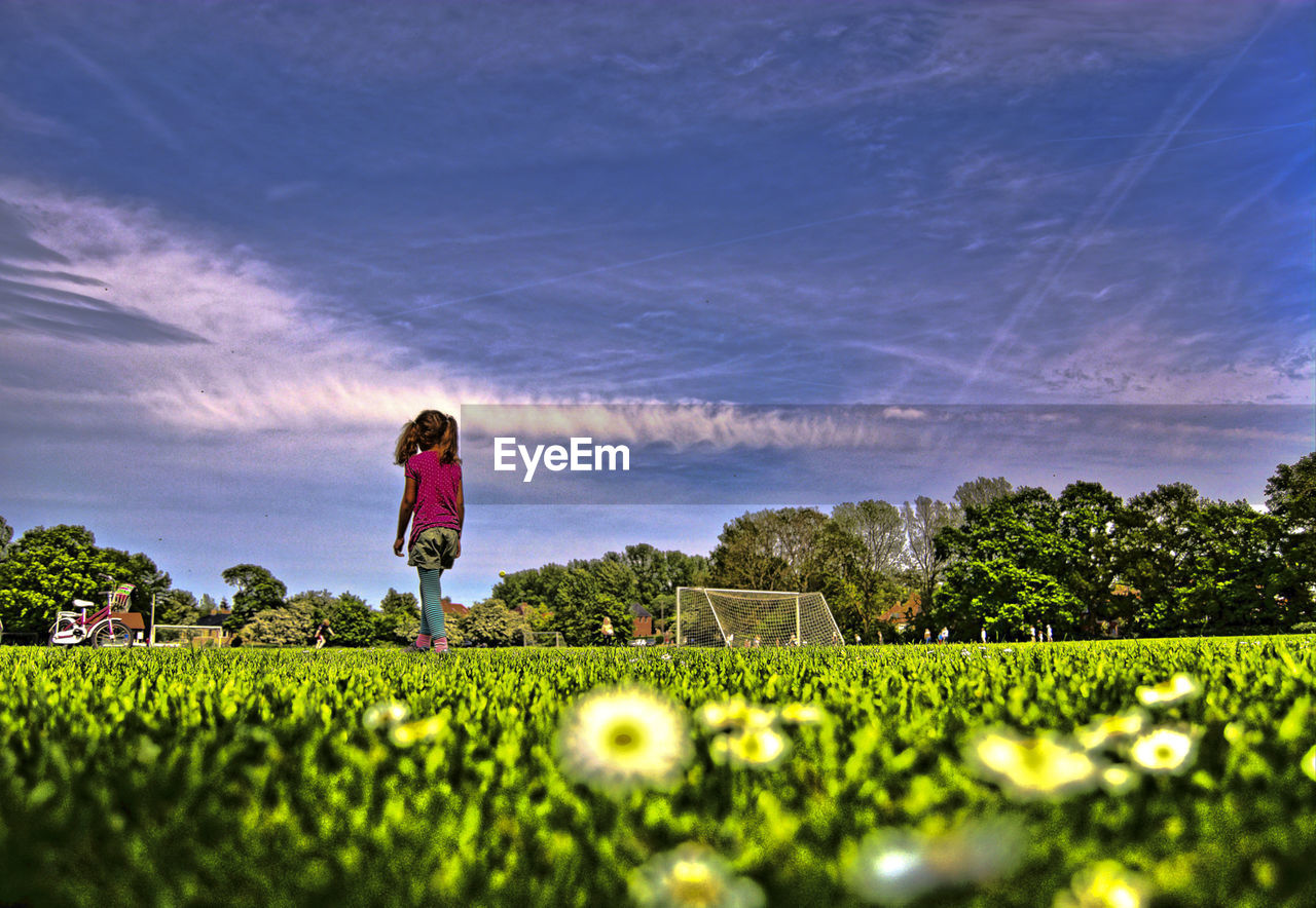 Surface level of girl walking on flowering field against sky