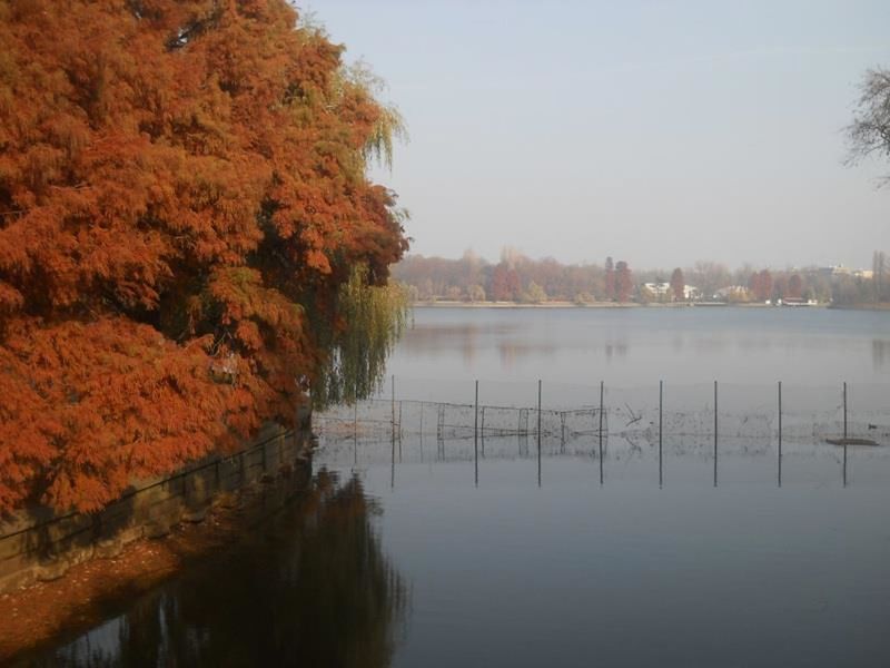 Scenic view of river against clear sky