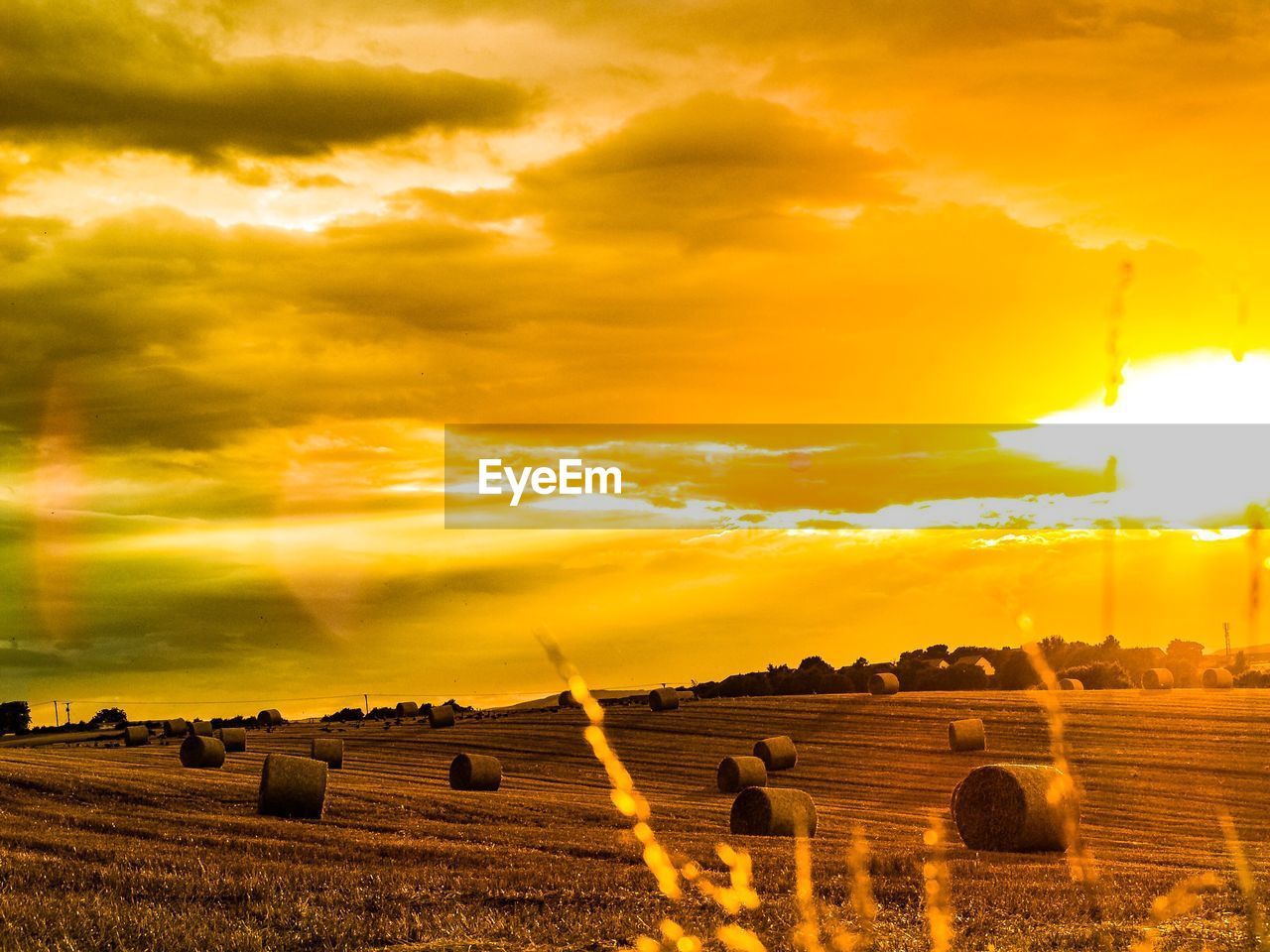 HAY BALES ON FIELD AGAINST SUNSET SKY