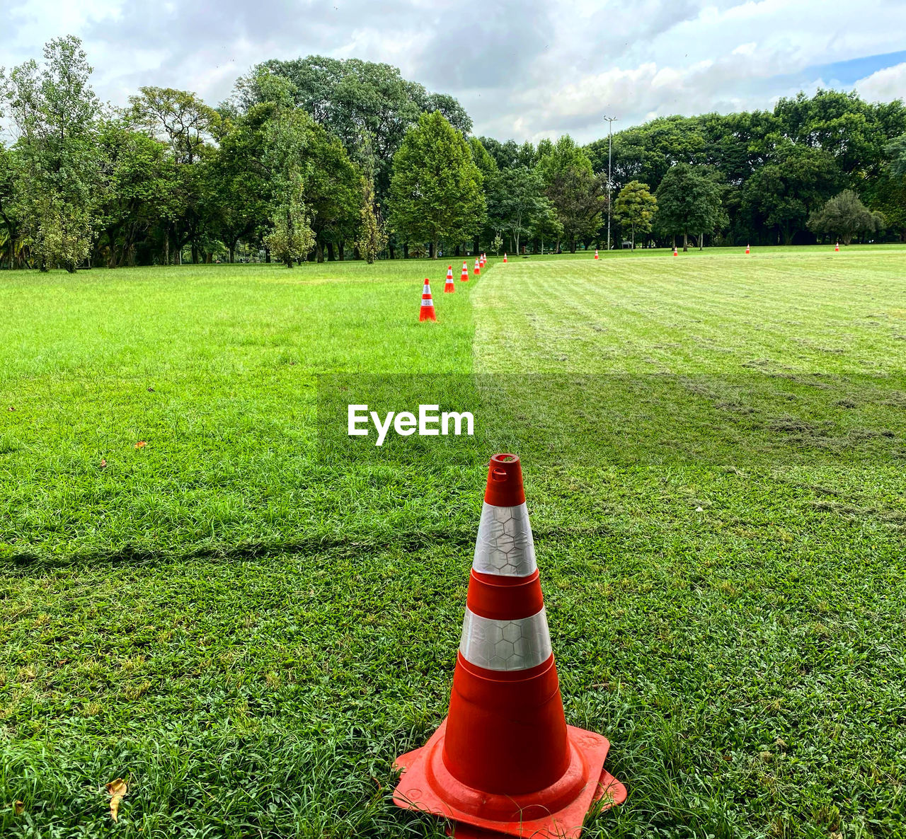 Signal cone on field by trees against sky