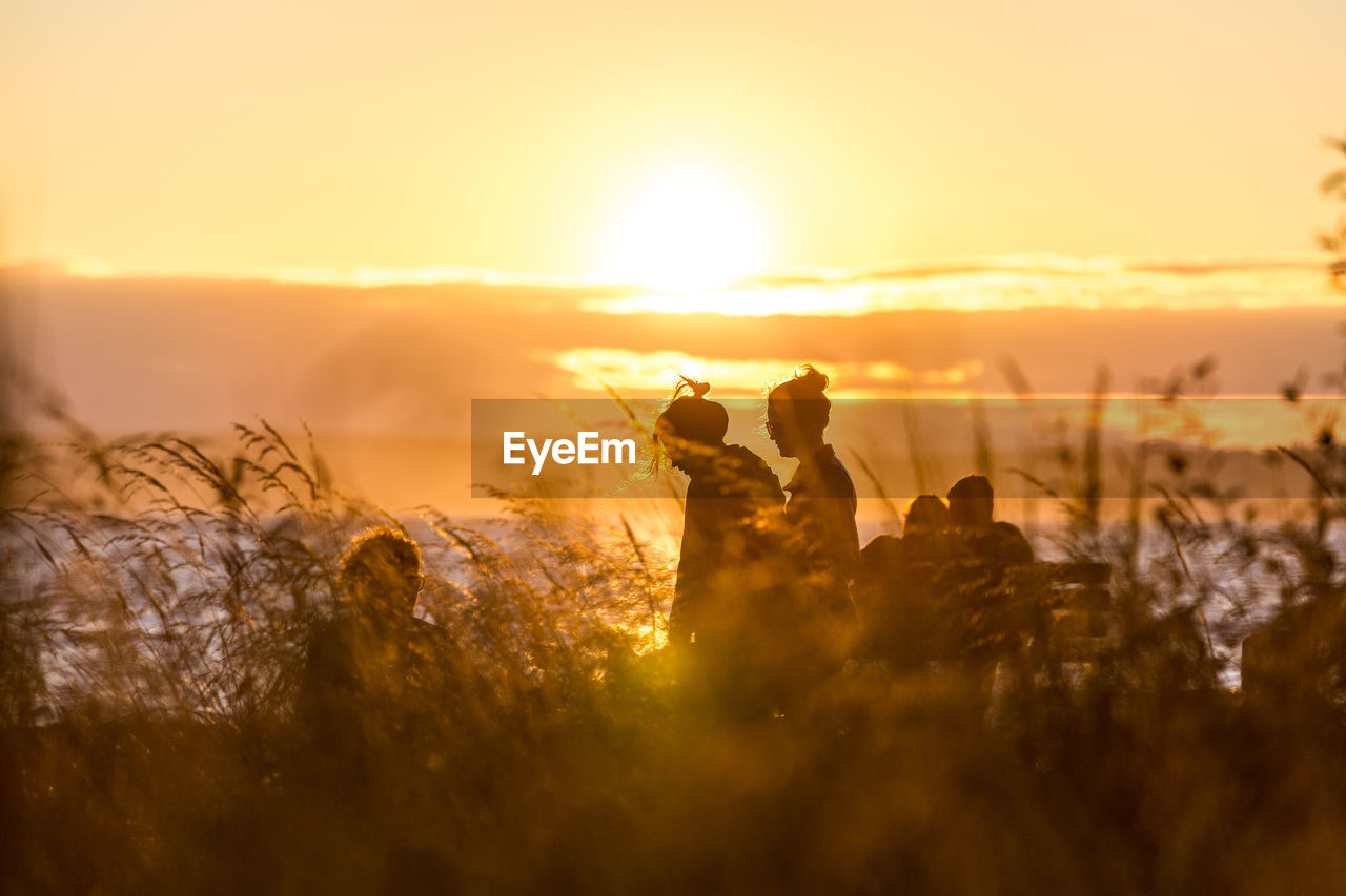 PEOPLE ON FIELD DURING SUNSET