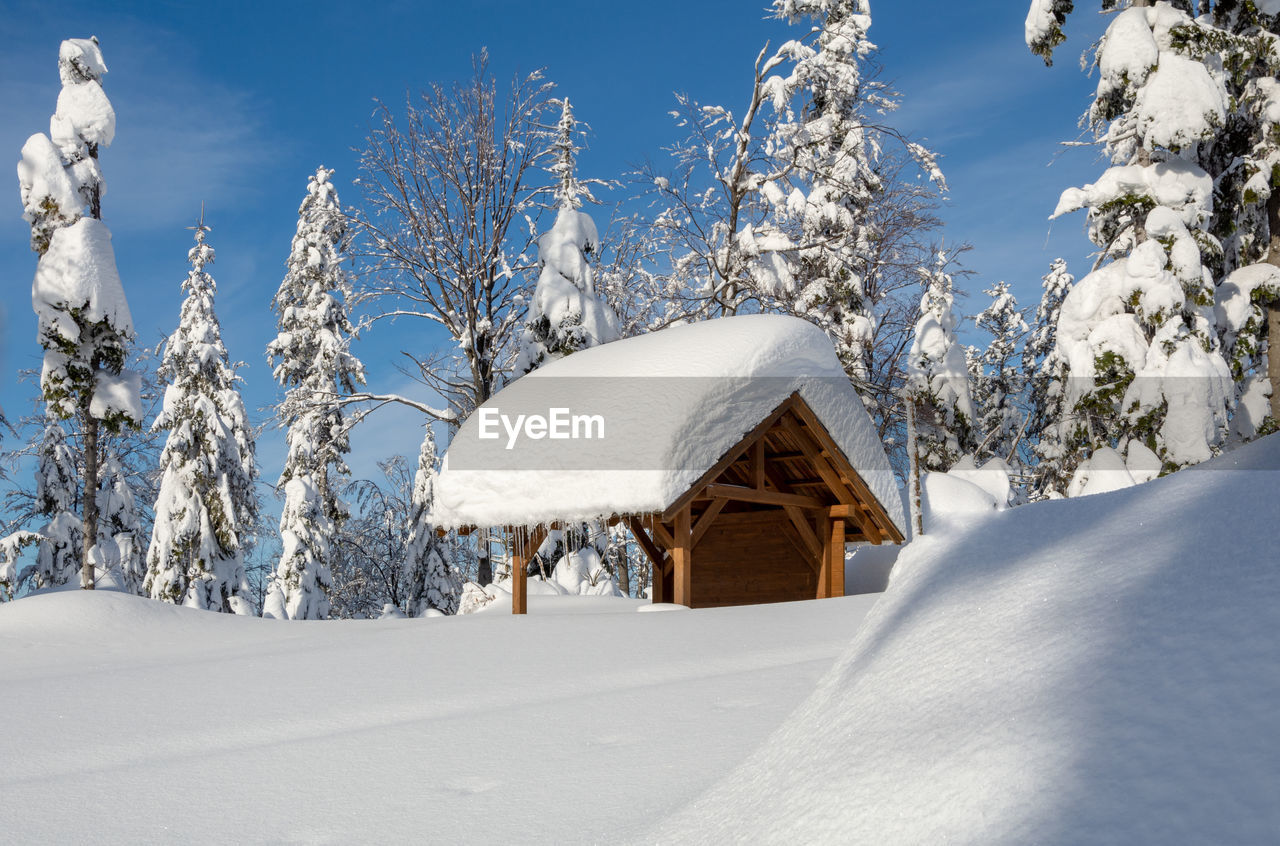 Snow covered land and trees against sky