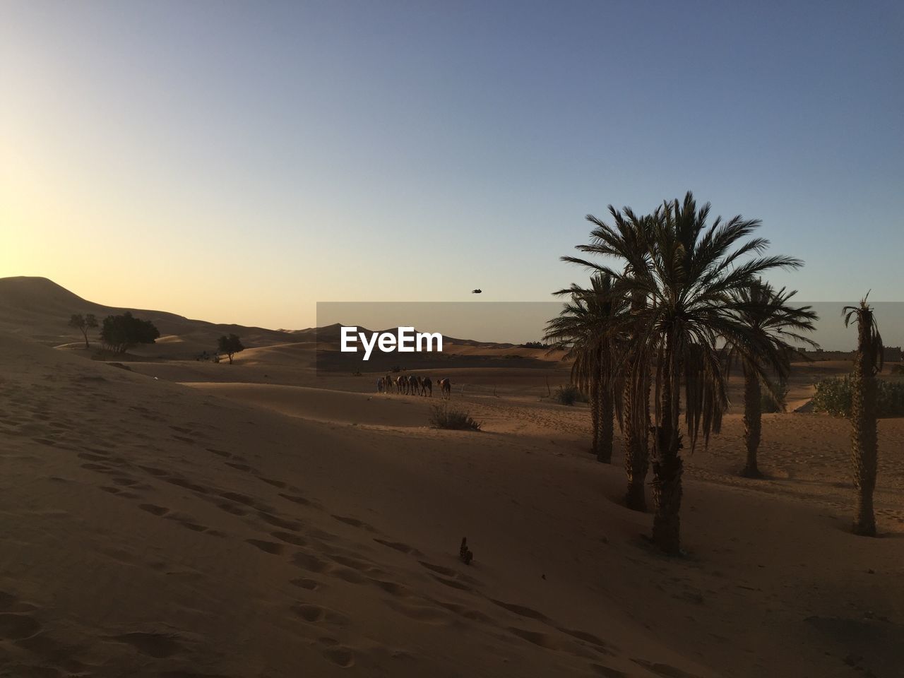 Scenic view of landscape against sky at sunset