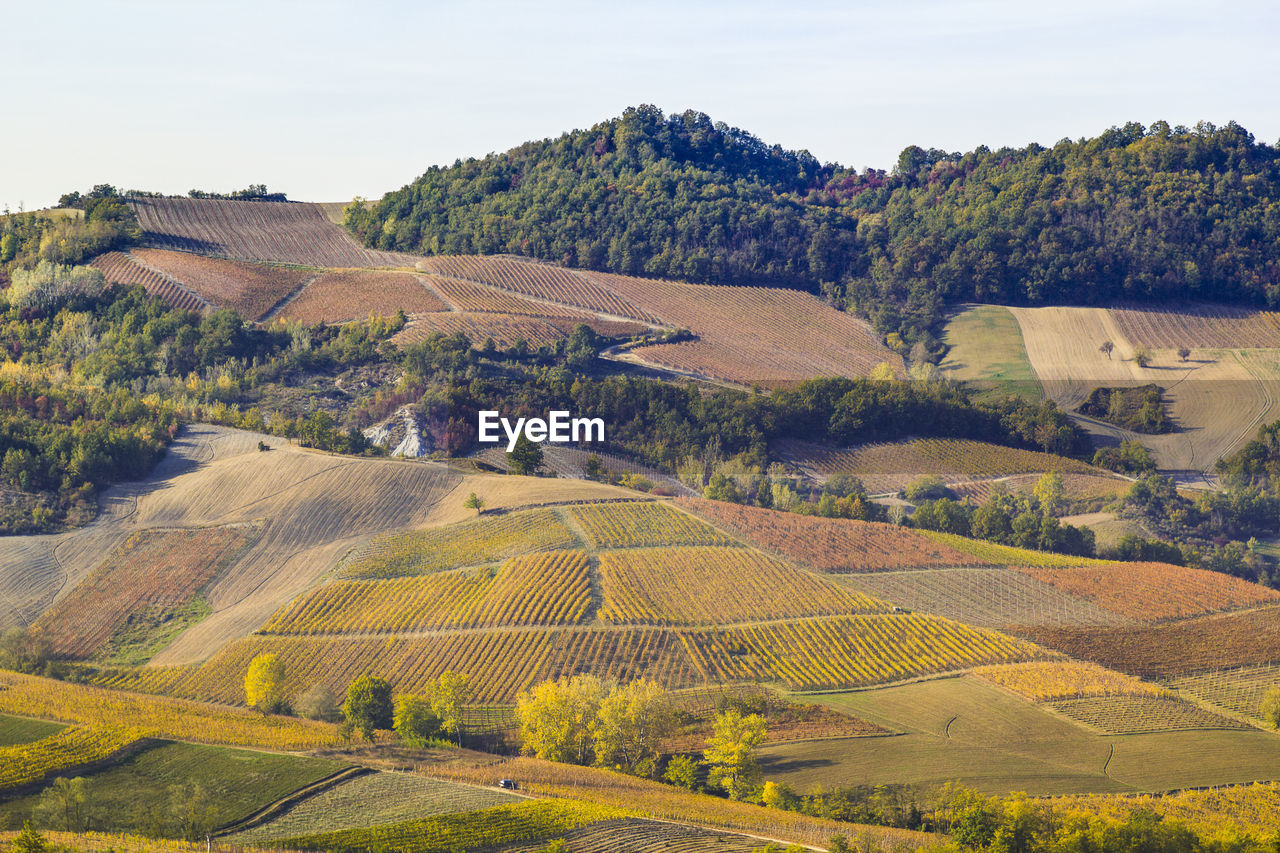 High angle view of farms against sky