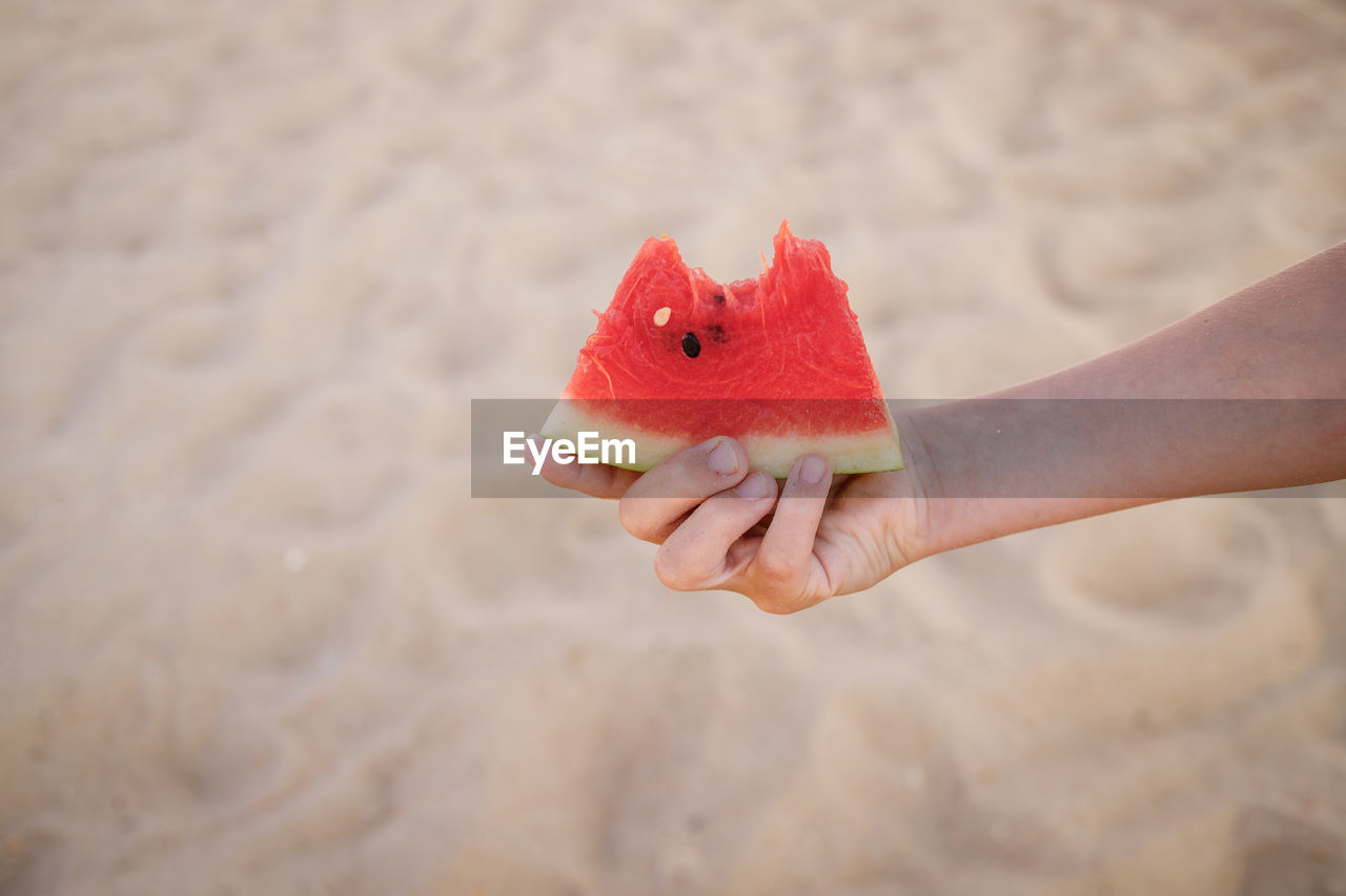 CLOSE-UP OF HAND HOLDING RED BERRIES ON LEAF