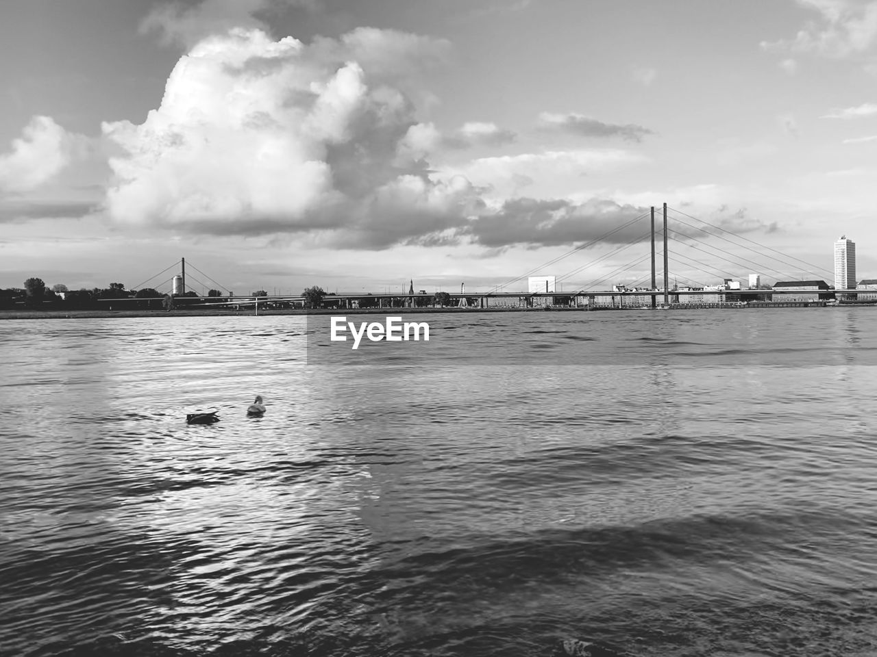 water, sky, sea, cloud, black and white, transportation, architecture, nature, built structure, travel destinations, monochrome photography, travel, monochrome, horizon, nautical vessel, city, bridge, beauty in nature, scenics - nature, shore, tourism, outdoors, no people, environment, day, building exterior, wave, tranquility, tranquil scene, mode of transportation, land, ocean, pier, landscape, vehicle, sailboat, holiday, beach, industry, harbor, coast, trip, vacation, bay, bay of water, ship, rippled