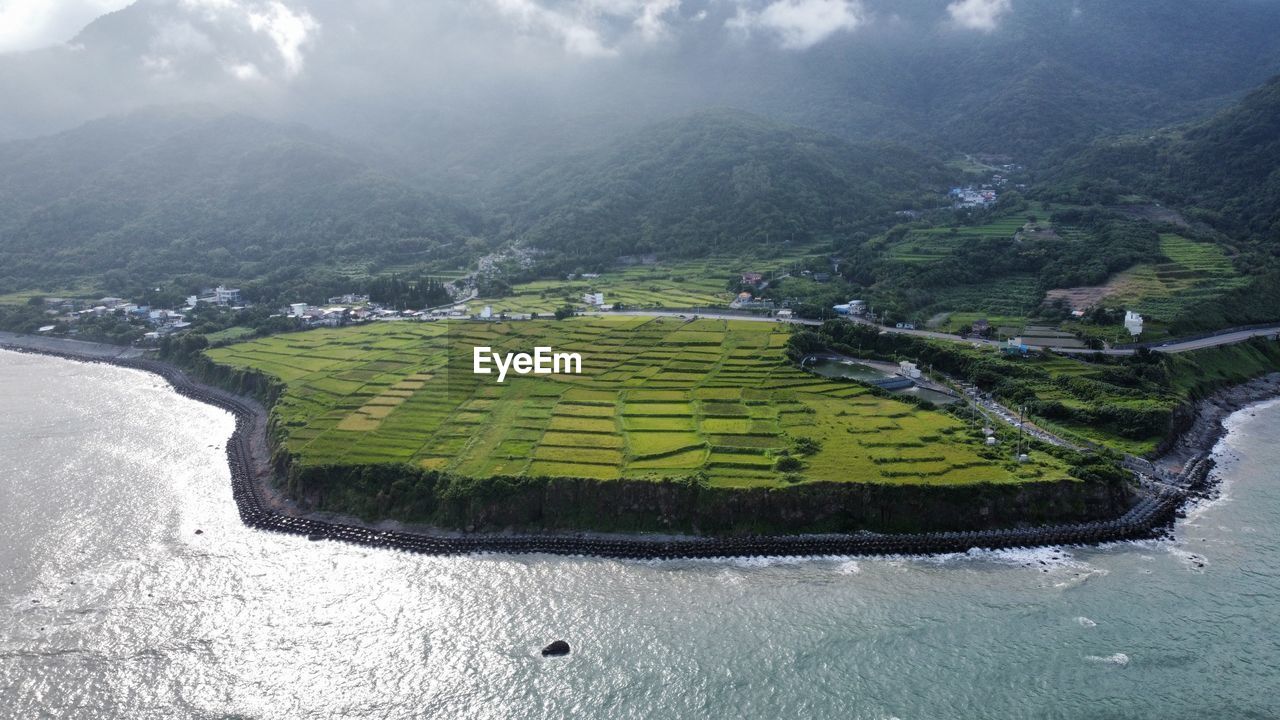 high angle view of road amidst plants