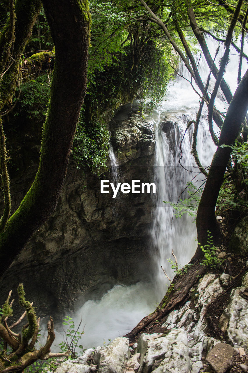 WATERFALL IN A FOREST