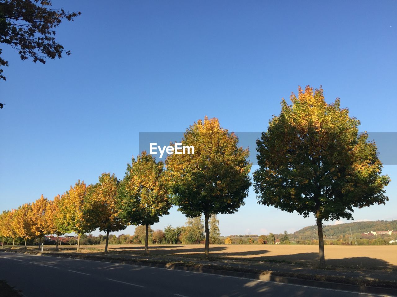 Road by trees against clear sky during autumn