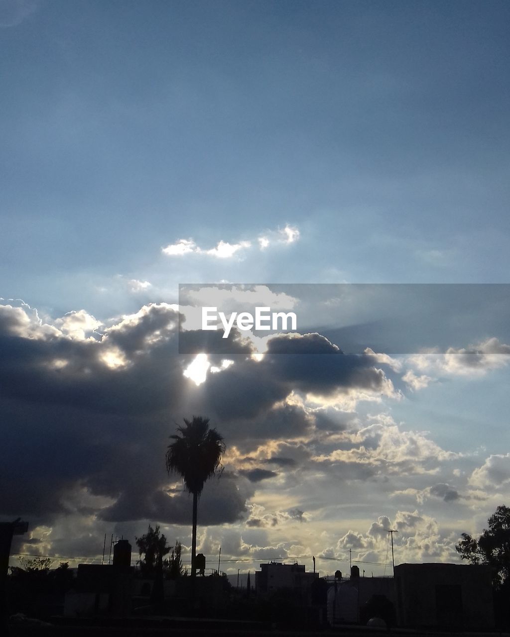 LOW ANGLE VIEW OF SILHOUETTE TREE AGAINST SKY