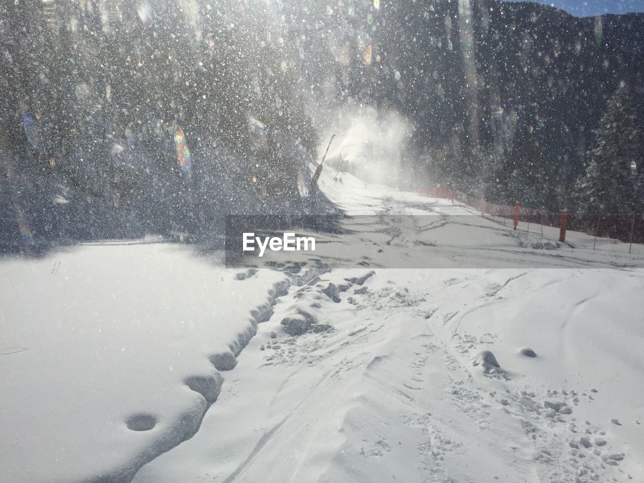 VIEW OF SNOW COVERED TREES