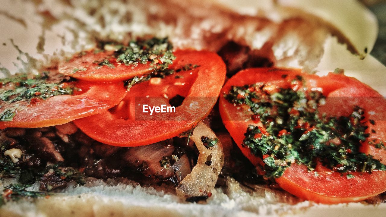 CLOSE-UP OF FRESH MEAL SERVED IN PLATE WITH SAUCE