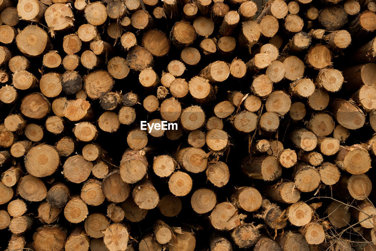 Full frame shot of a log pile