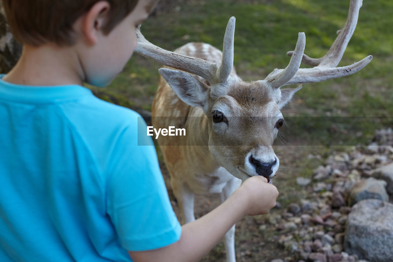 PORTRAIT OF MAN WITH DEER ON GRASS