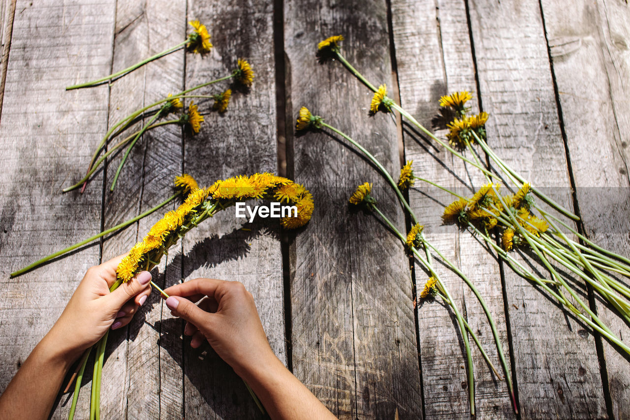 Close-up of woman hand holding flowers