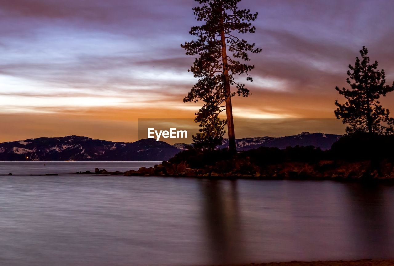 Scenic view of tree against sky during sunset