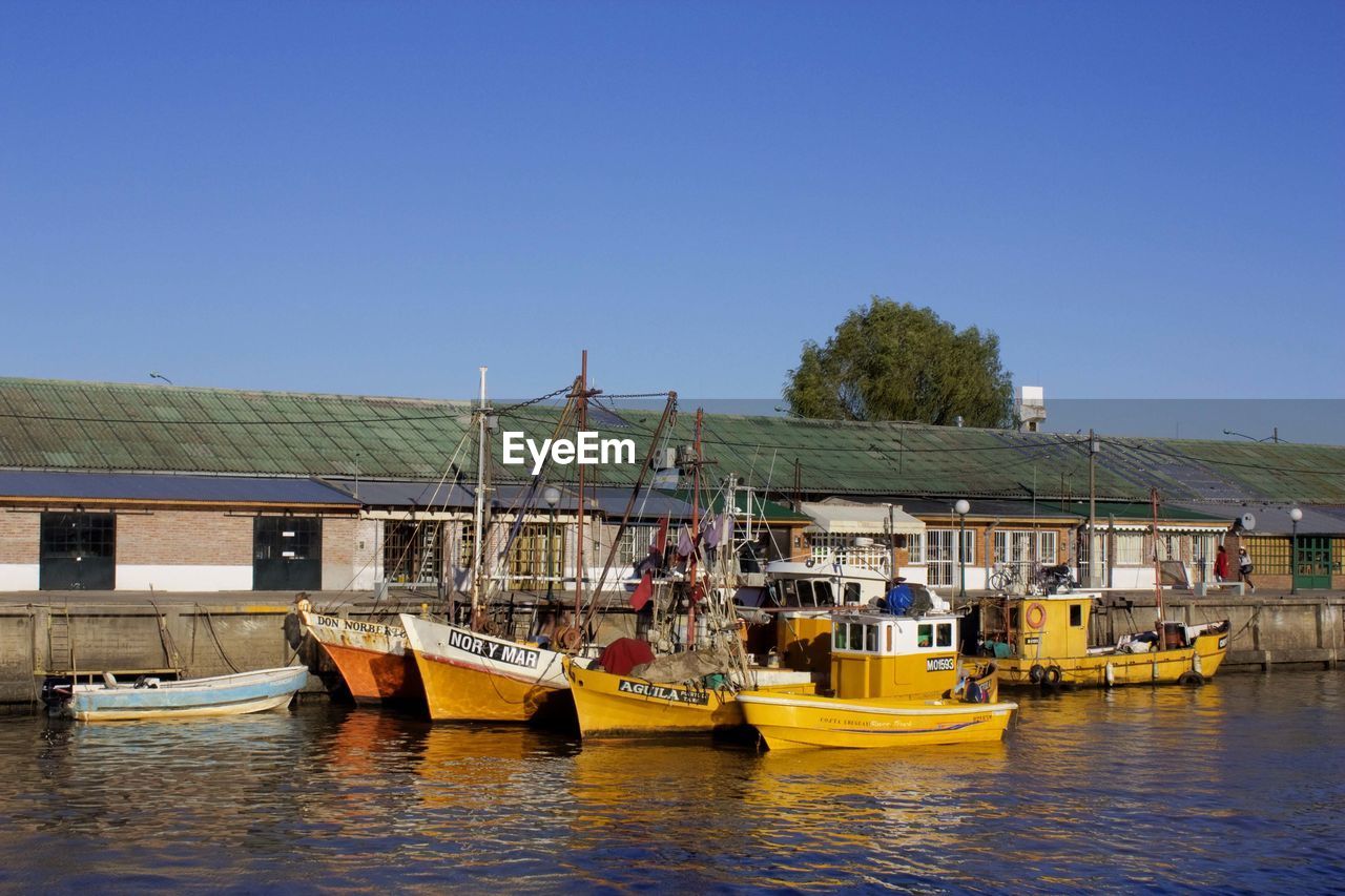 Boats moored at harbor against clear blue sky