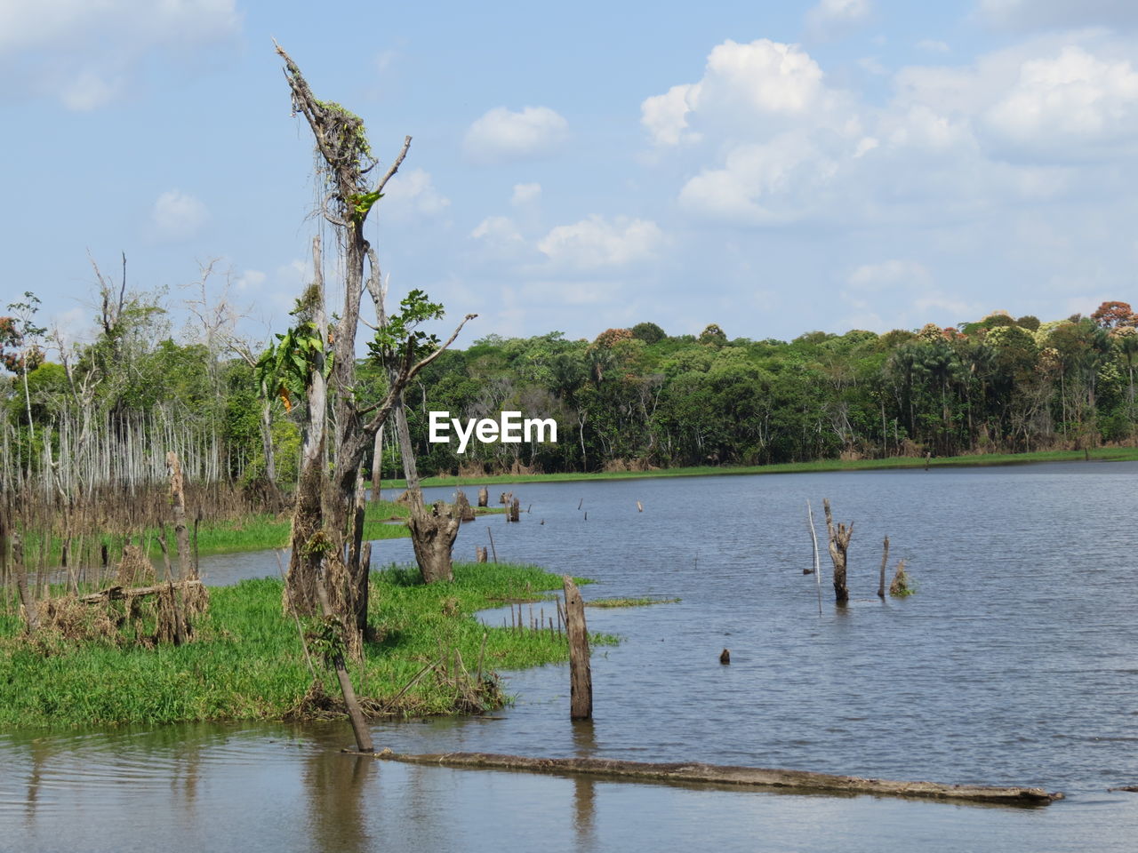 Scenic view of lake by trees against sky