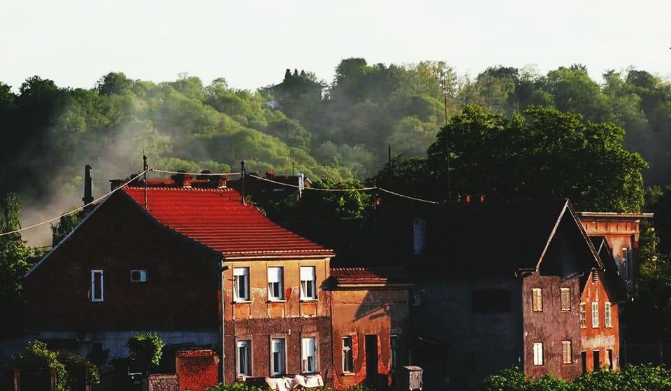 Cottages in morning mist