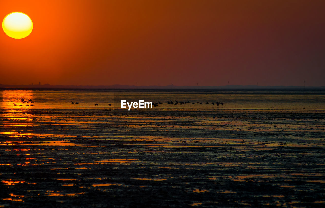 VIEW OF SEA AGAINST ORANGE SKY