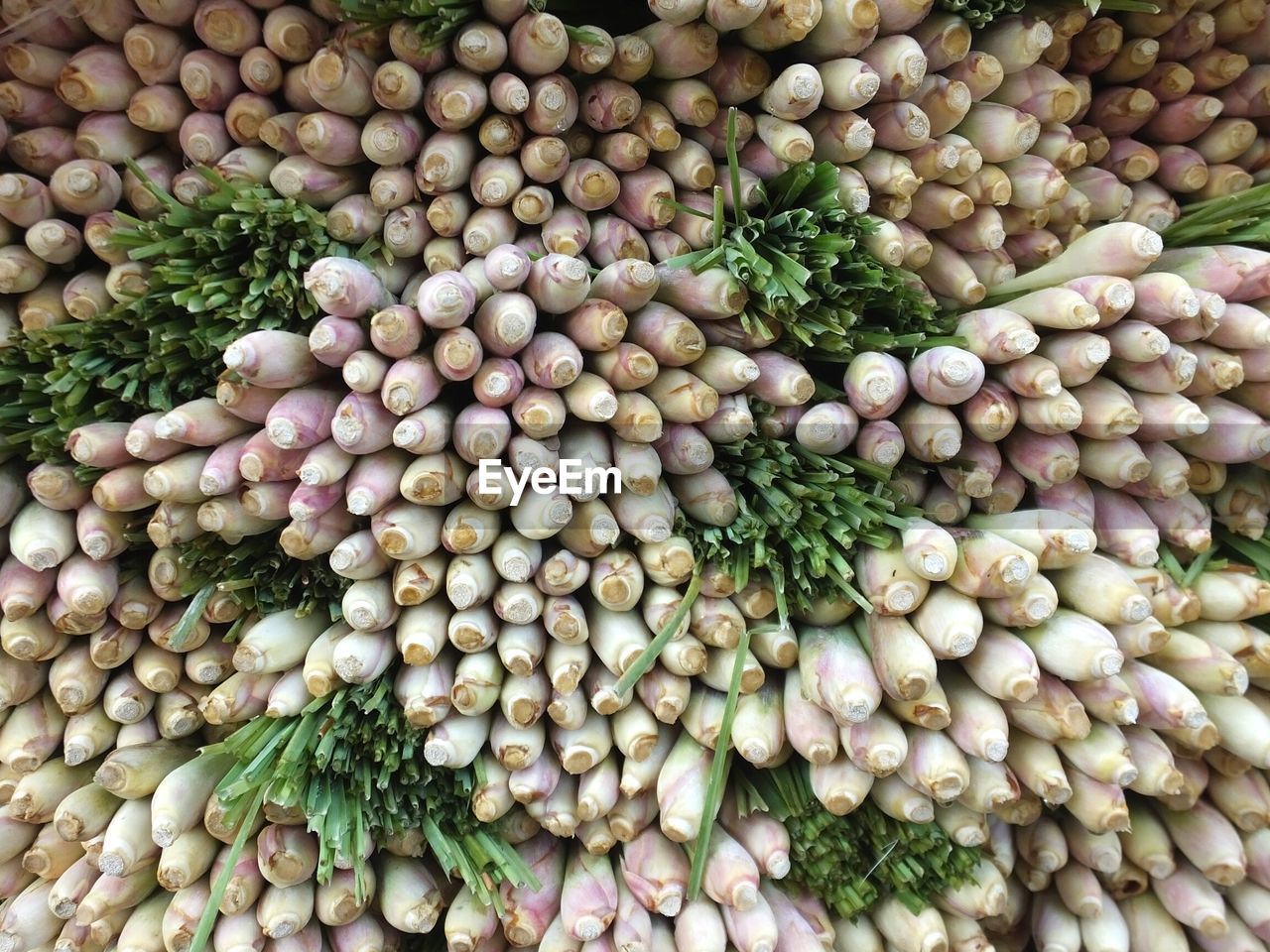 Full frame shot of scallions for sale at market stall