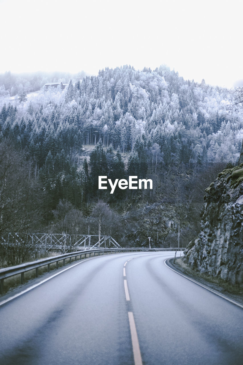 empty road amidst trees against clear sky