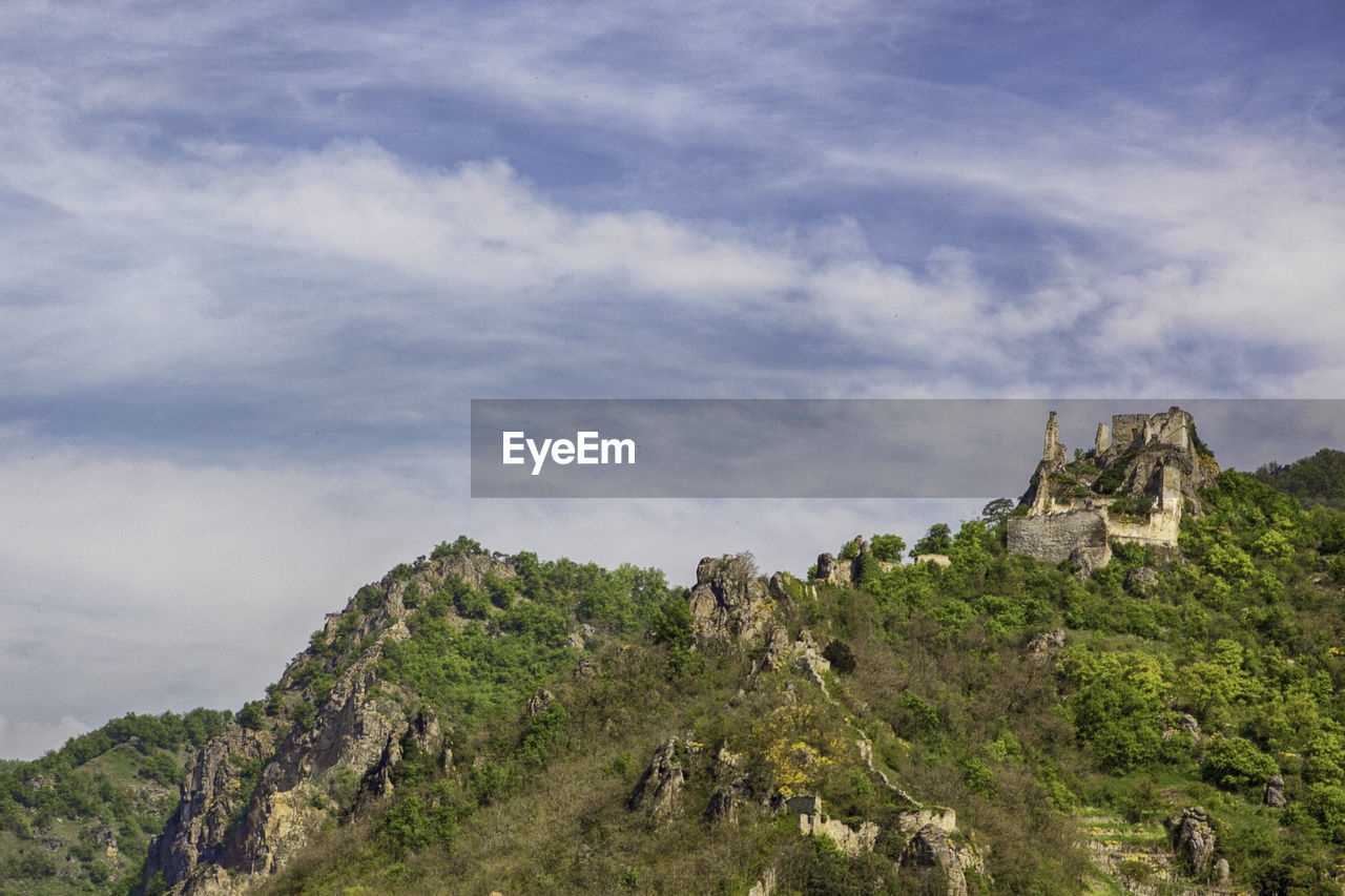 TREES ON MOUNTAIN AGAINST SKY