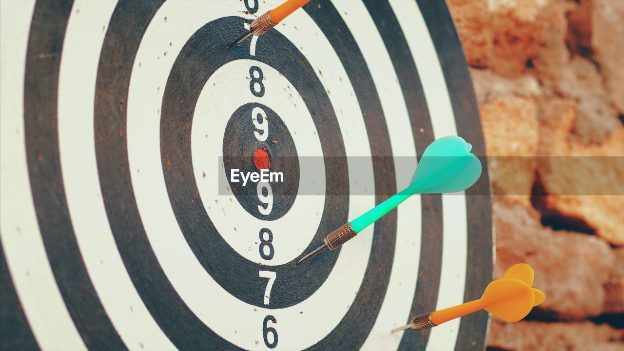 Close-up of dartboard on wall