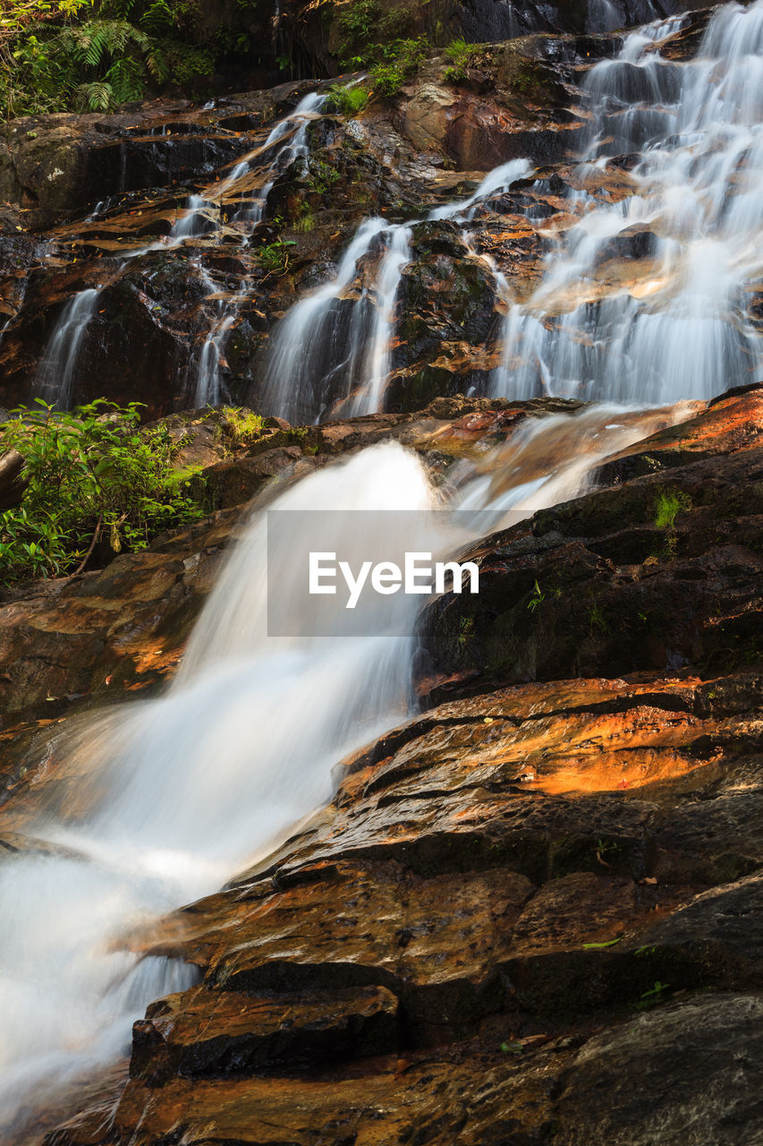 WATERFALL IN FOREST