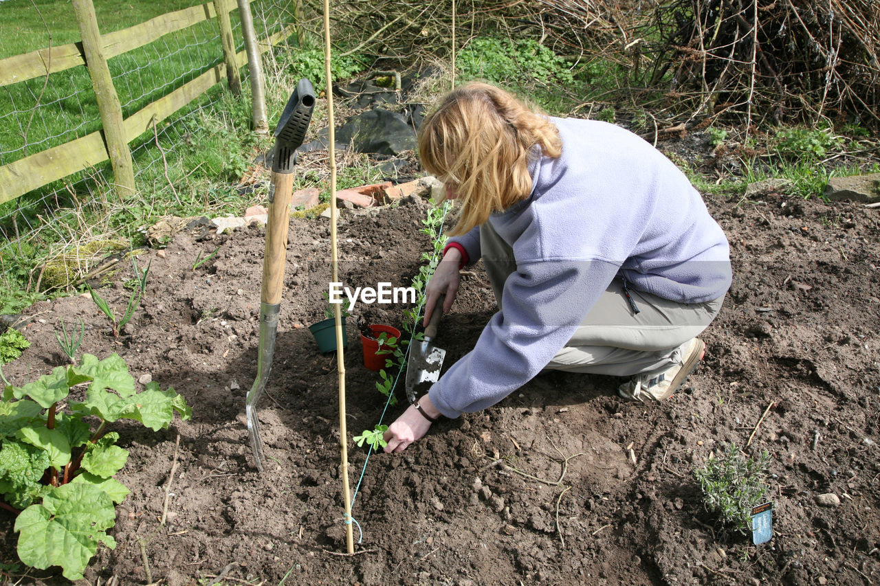 High angle view of woman gardening on land