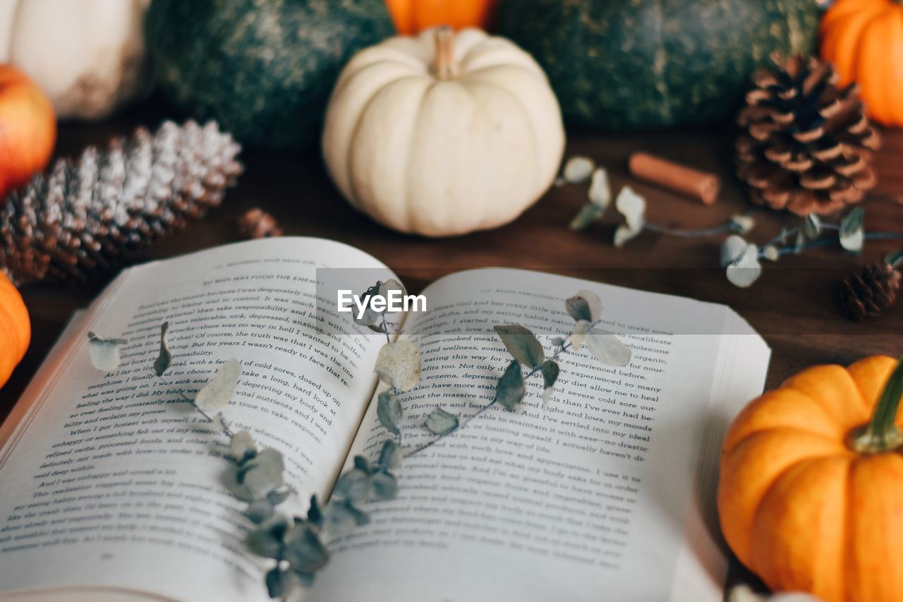 HIGH ANGLE VIEW OF PUMPKINS ON BOOK