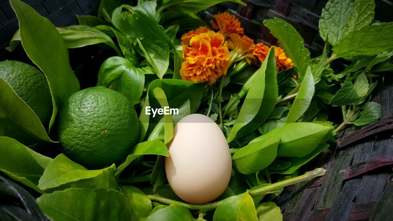 Close-up of egg with lemons and mint leaves in wicker basket