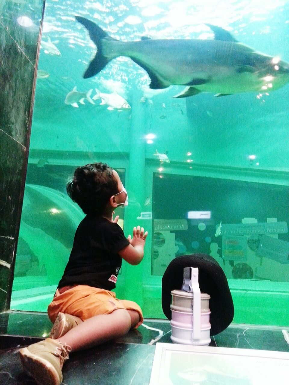 BOY IN AQUARIUM