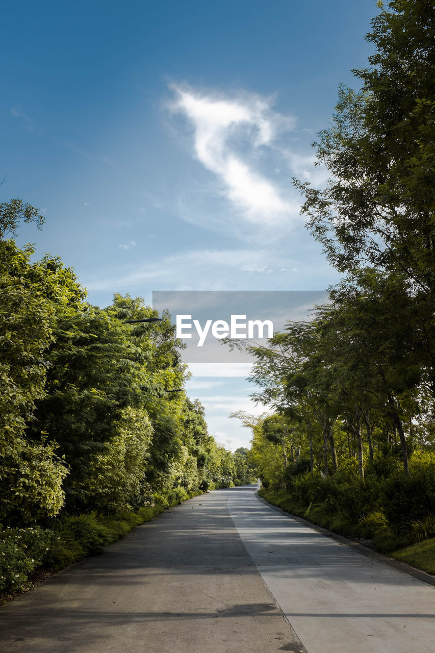 Empty road amidst trees against sky