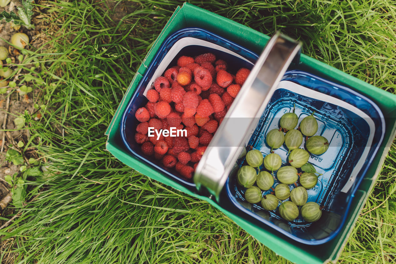 Directly above shot of gooseberries and raspberries in containers on grassy field