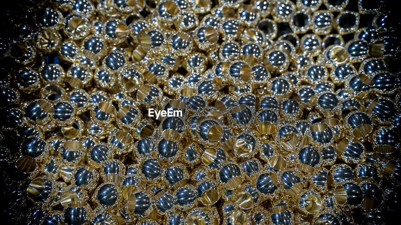 FULL FRAME SHOT OF INSECT IN SEA