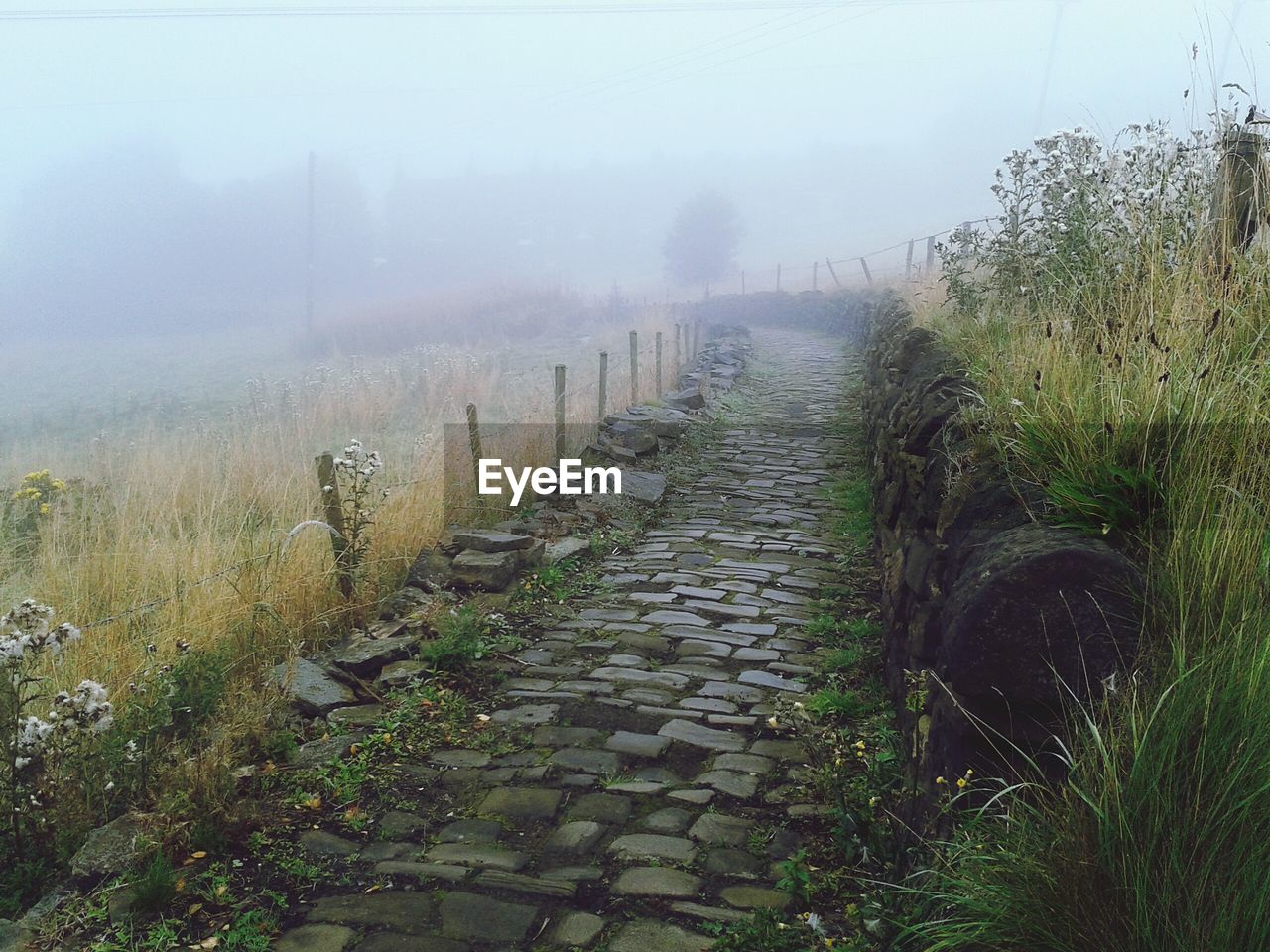 Footpath during foggy weather