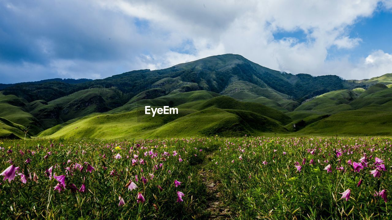 Scenic view of field by mountains against sky