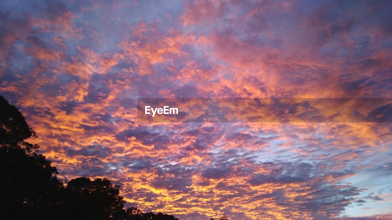 LOW ANGLE VIEW OF DRAMATIC SKY