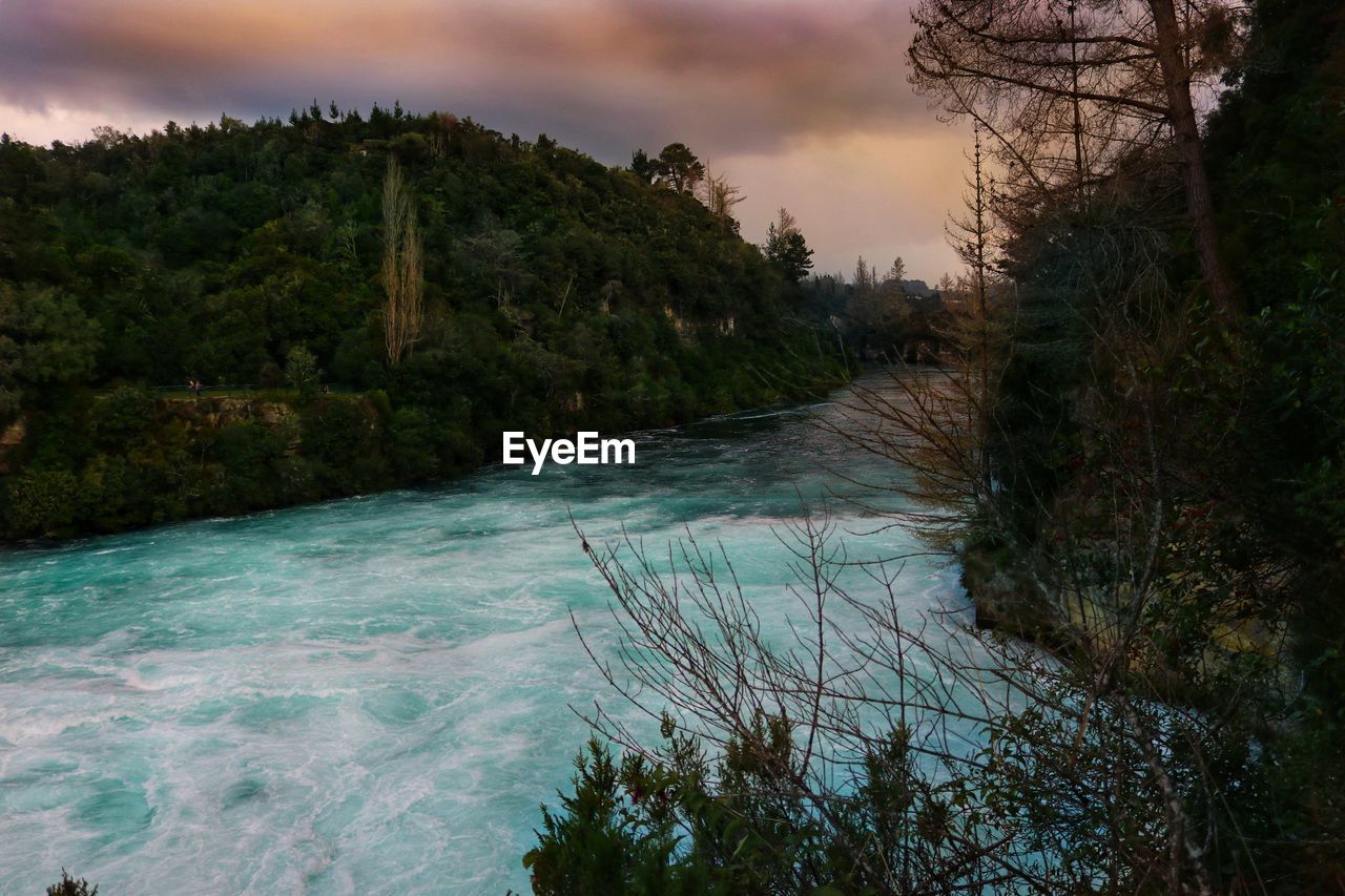 RIVER FLOWING AMIDST TREES AGAINST SKY