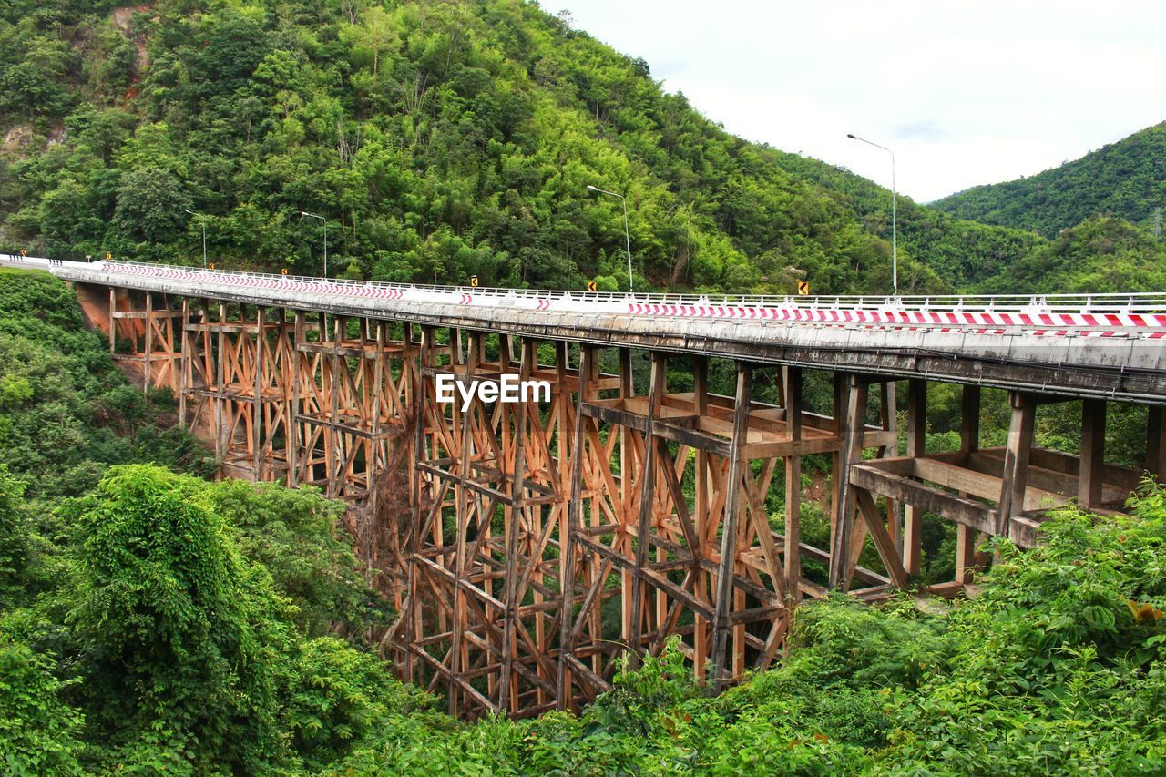 View of bridge in forest