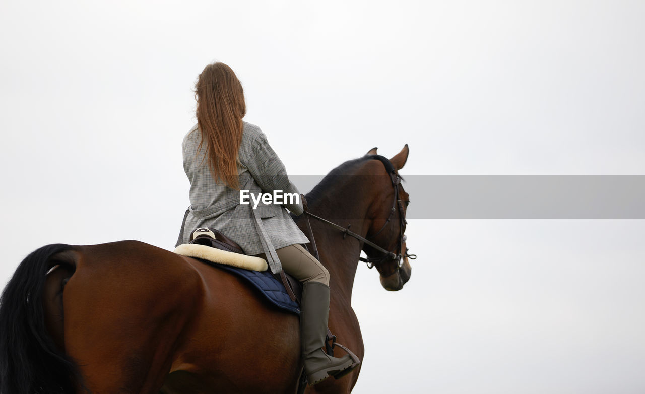 horse, domestic animals, mammal, animal, animal themes, animal wildlife, livestock, horseback riding, riding, pet, women, activity, adult, one person, one animal, equestrian sport, female, sports, young adult, jumping, nature, sky, leisure activity, brown, long hair, stallion, rear view, lifestyles, day, outdoors, jockey, saddle, dressage, animal body part, motion, copy space