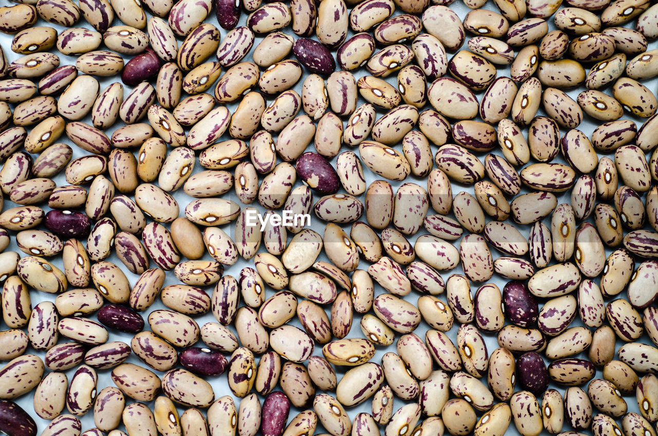 Full frame shot of borlotti beans