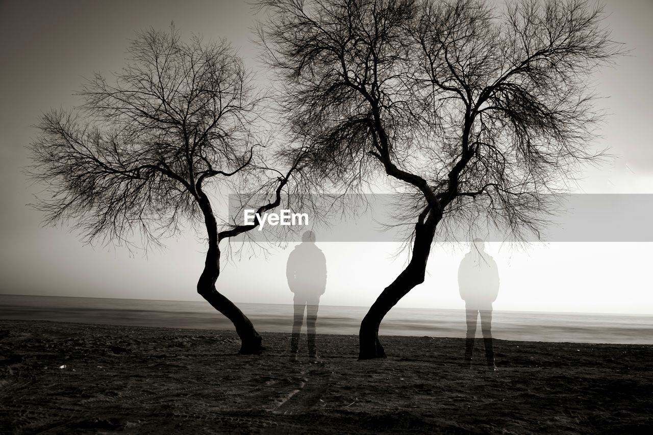 SILHOUETTE BARE TREES ON FIELD AGAINST SKY