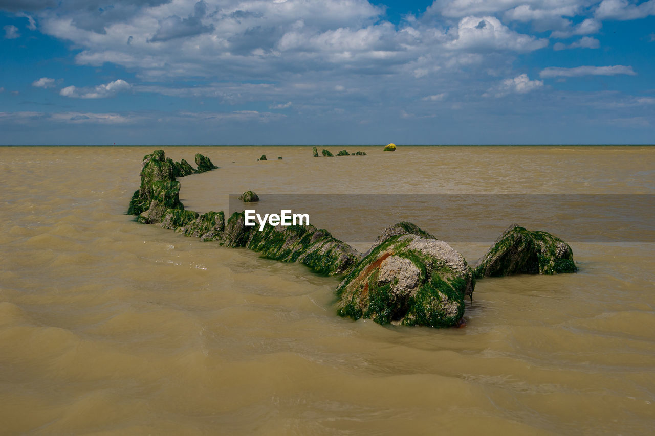 Leftovers of a algae covered shipwreck from a world war ship at a beach in northern france