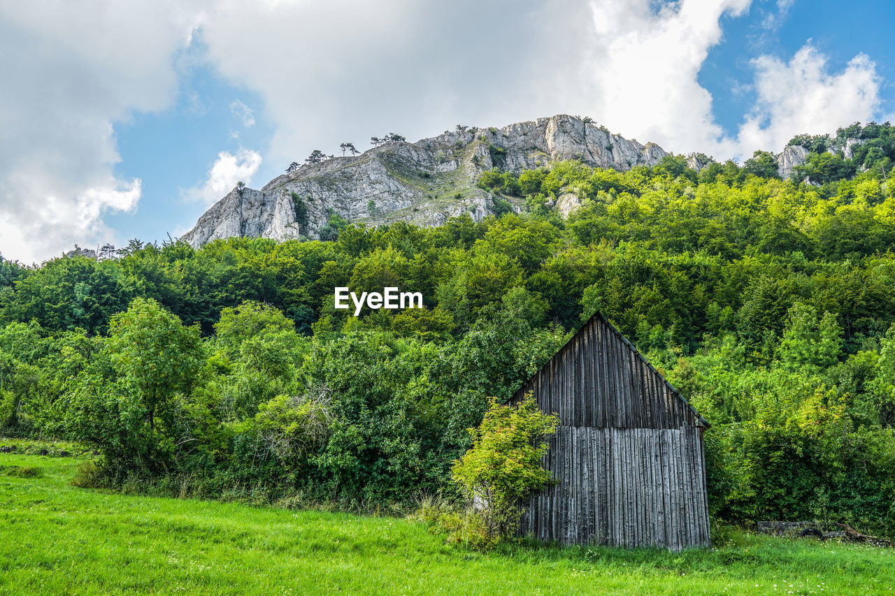 plant, cloud, landscape, sky, tree, land, nature, environment, architecture, rural area, green, mountain, scenics - nature, built structure, meadow, building, grass, mountain range, field, rural scene, house, beauty in nature, building exterior, no people, forest, hut, agriculture, outdoors, agricultural building, travel destinations, tranquility, wood, growth, non-urban scene, residential district, farm, day, plain, tranquil scene, travel, valley, summer, tourism, flower, pasture, foliage, highland, environmental conservation, barn